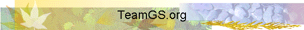 TeamGS.org